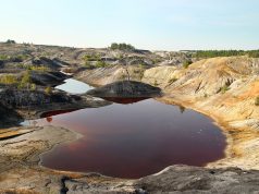 China vs. United States: Global Race for Rare Earth Metals