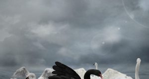 Warren Buffett Issues Cryptic Warning on U.S. Dollar